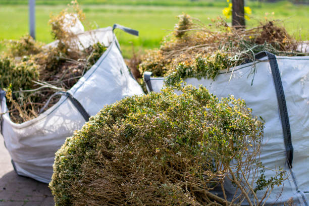 Best Furniture Removal Near Me  in Moosup, CT